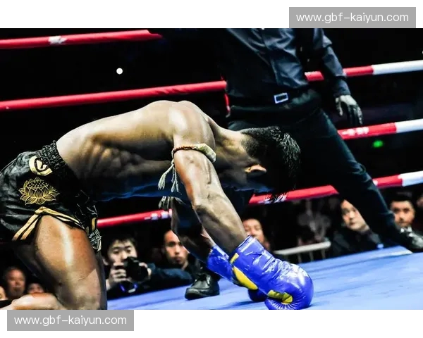 世纪之战的落幕：播求与一龙恩怨情仇的最终章